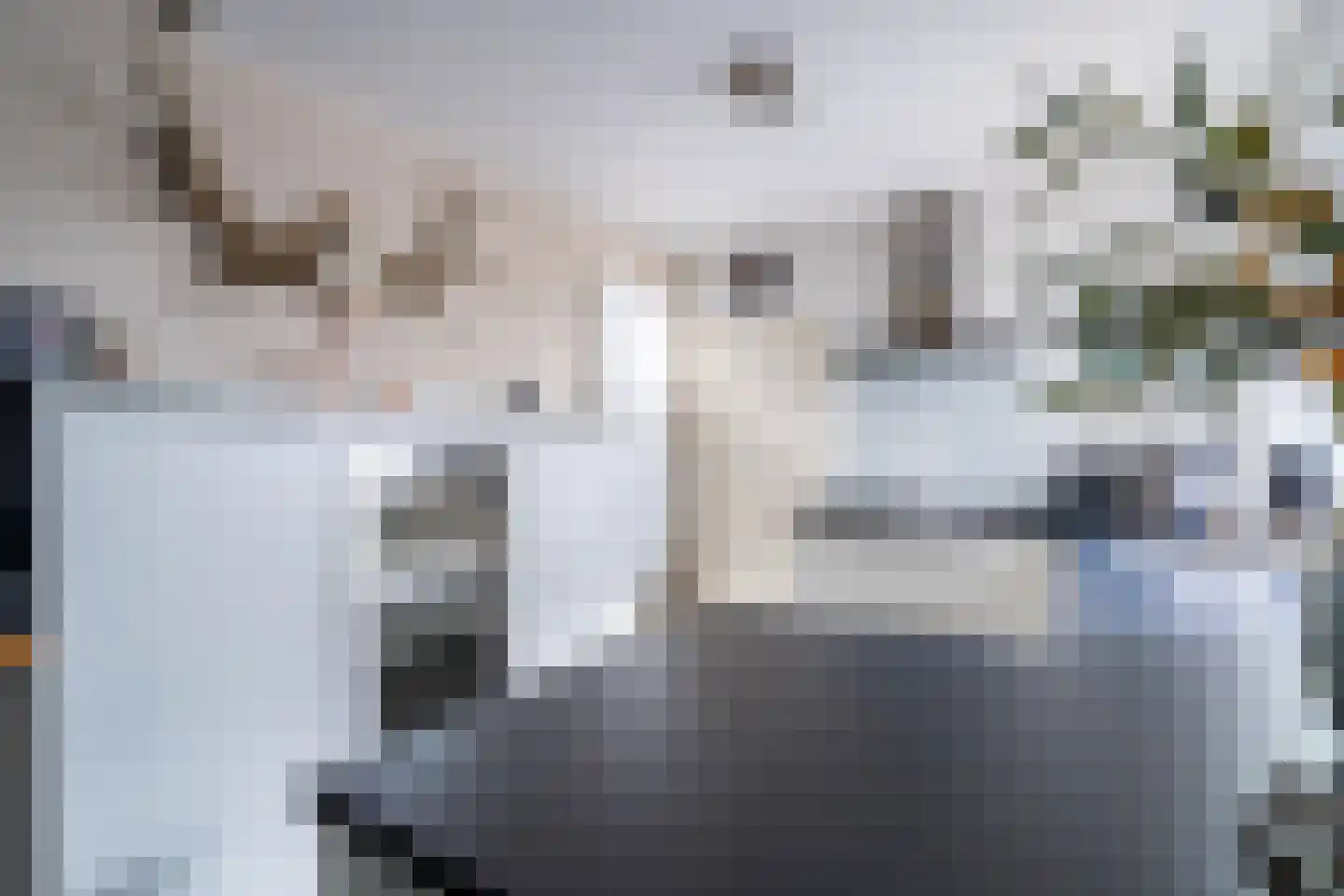 Dahliastraat 15 Weert thumbnail 7