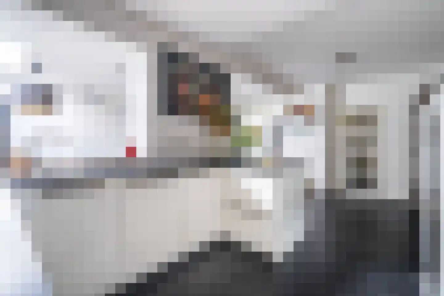 Dahliastraat 15 Weert thumbnail 8