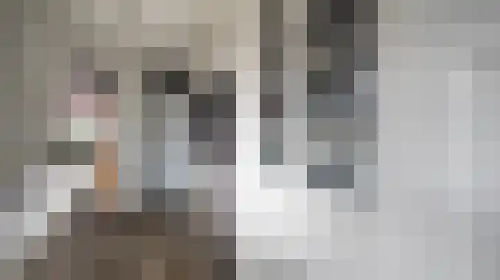 Dahliastraat 16 Almelo thumbnail 10