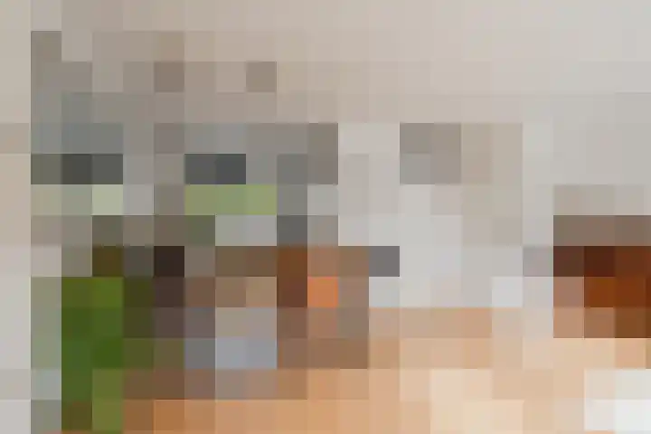Dahliastraat 16 Badhoevedorp thumbnail 10