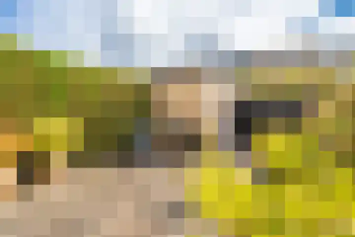 Dahliastraat 16 Badhoevedorp thumbnail 21
