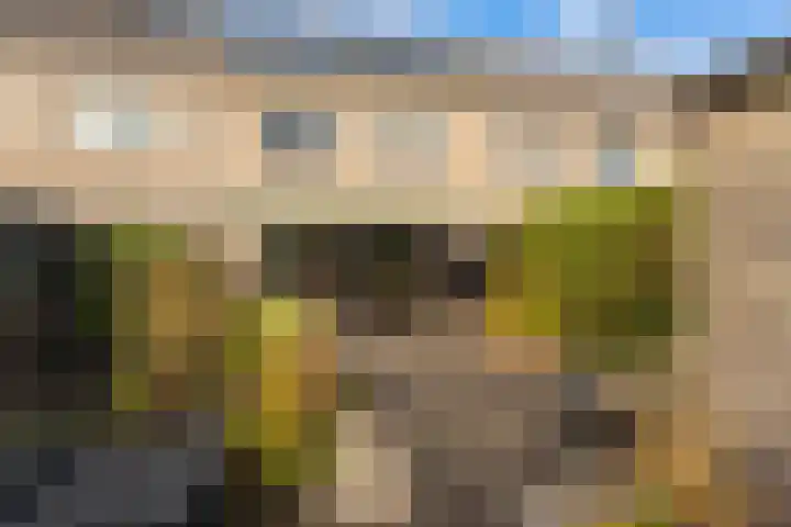 Dahliastraat 16 Badhoevedorp thumbnail 24
