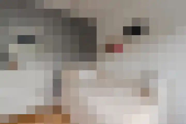 Dahliastraat 16 Badhoevedorp thumbnail 35