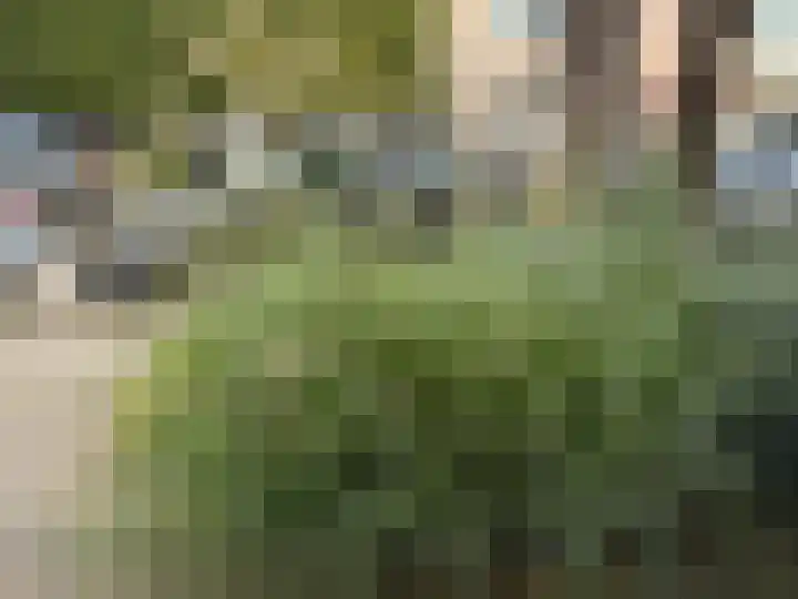 Dahliastraat 16 Badhoevedorp thumbnail 43
