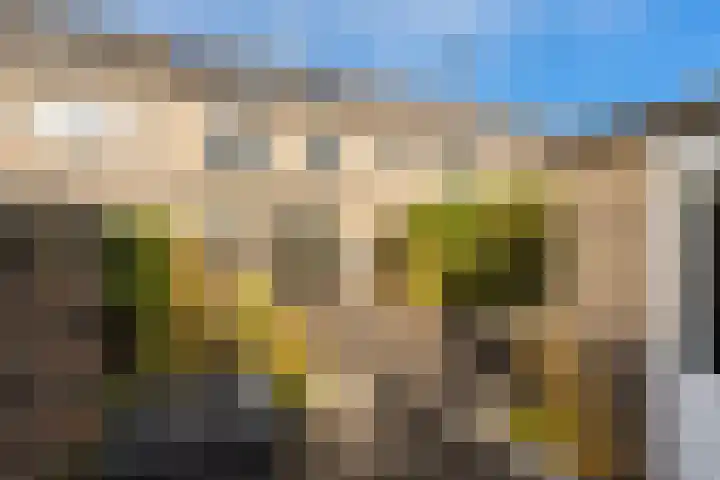 Dahliastraat 16 Badhoevedorp thumbnail 6