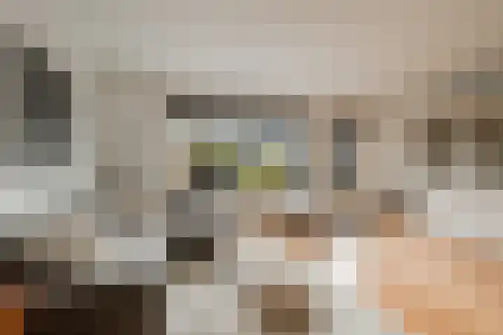 Dahliastraat 16 Badhoevedorp thumbnail 8