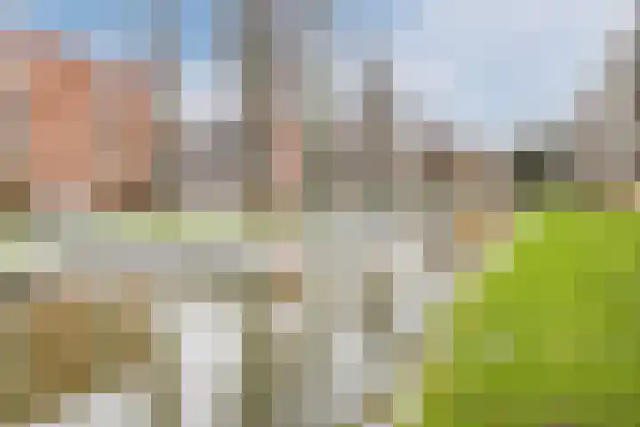 Dahliastraat 160 Zwijndrecht thumbnail 31