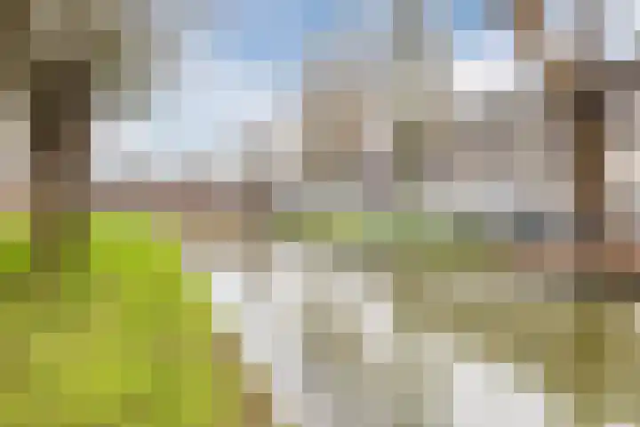 Dahliastraat 160 Zwijndrecht thumbnail 32