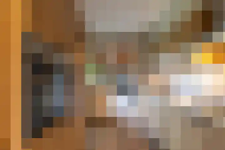 Dahliastraat 17 Gendringen thumbnail 10