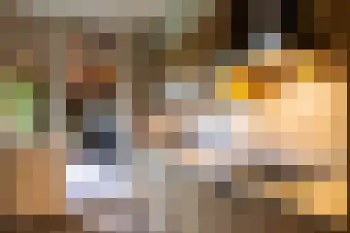 Dahliastraat 17 Gendringen thumbnail 12