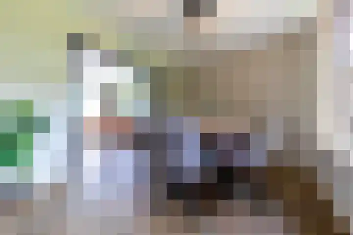 Dahliastraat 17 Gendringen thumbnail 13