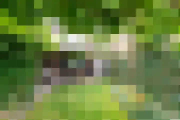 Dahliastraat 17 Gendringen thumbnail 33