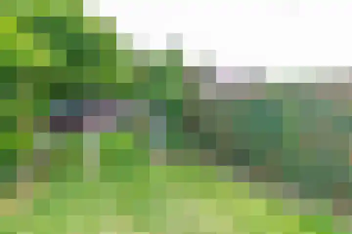 Dahliastraat 17 Gendringen thumbnail 34