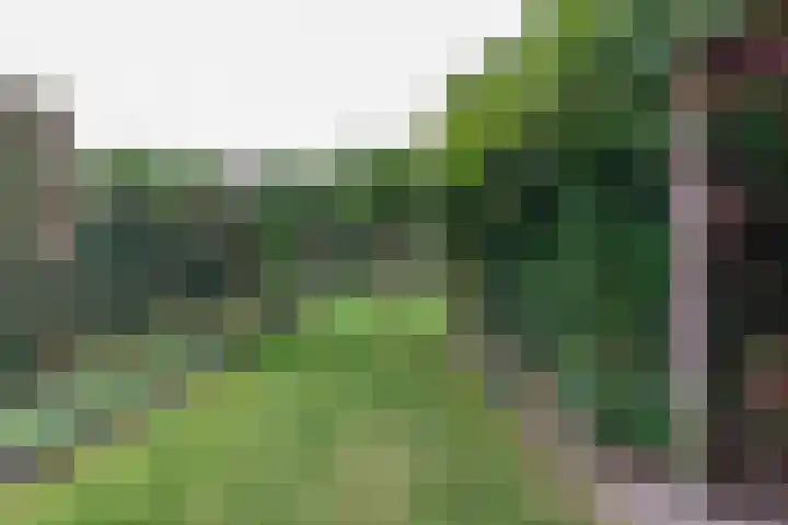 Dahliastraat 17 Gendringen thumbnail 35