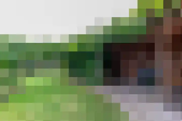 Dahliastraat 17 Gendringen thumbnail 36