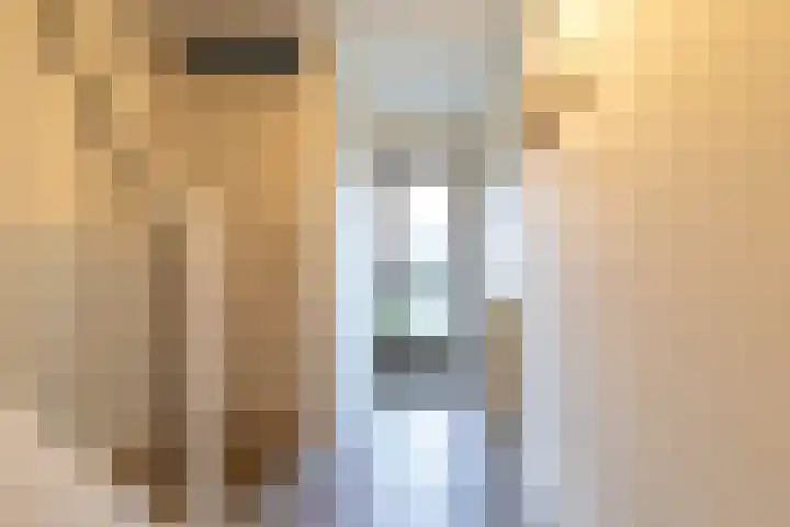 Dahliastraat 17 Gendringen thumbnail 7
