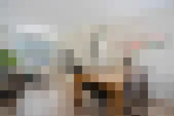 Dahliastraat 173 Enschede thumbnail 11