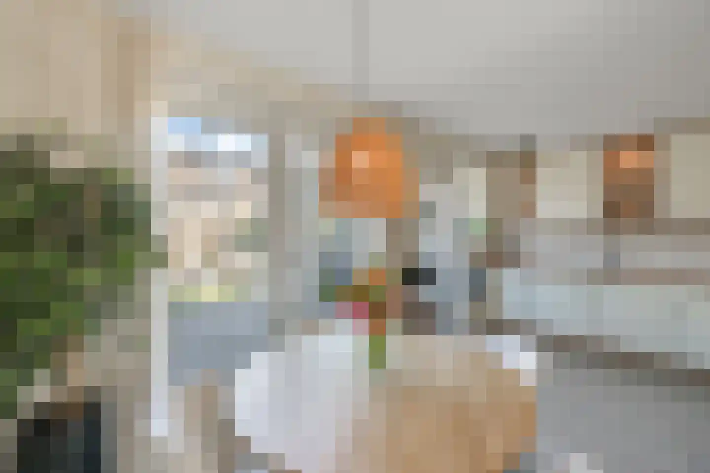 Dahliastraat 18 Noorden thumbnail 10