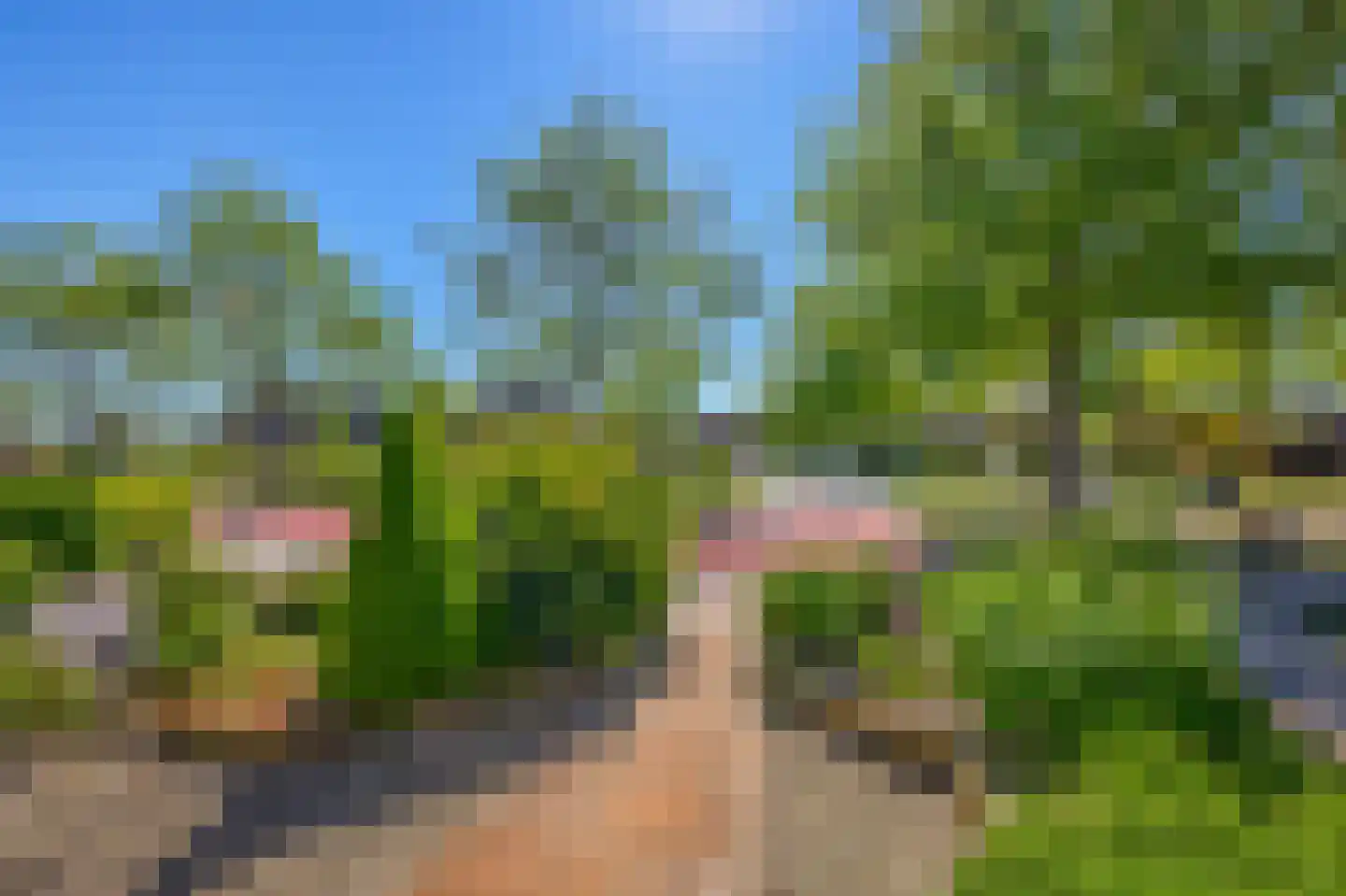 Dahliastraat 18 Noorden thumbnail 38