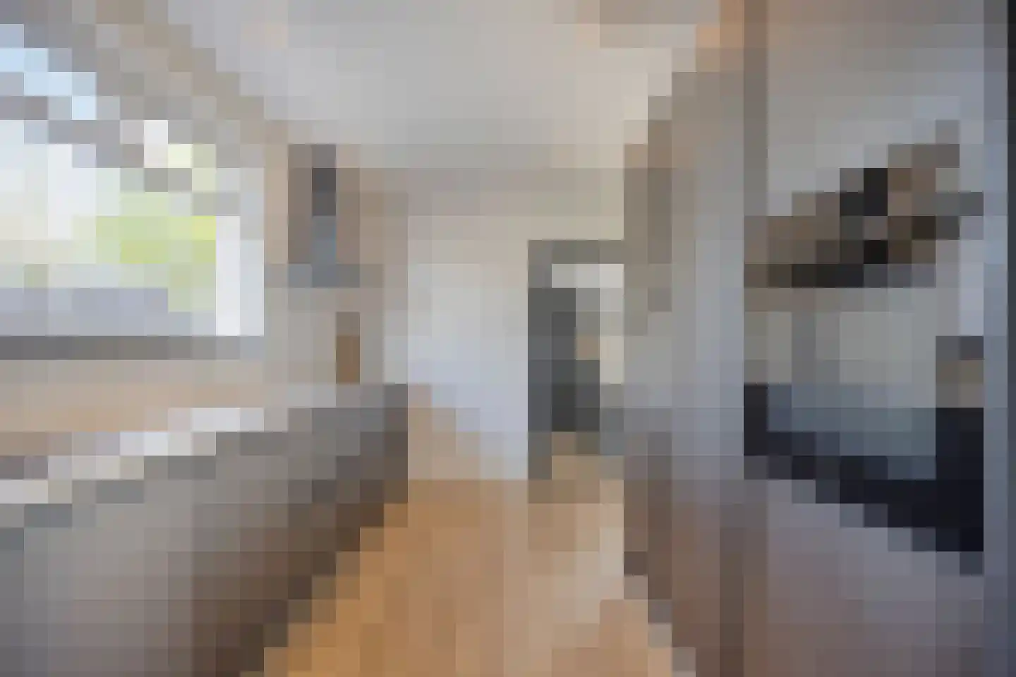 Dahliastraat 18 Steenbergen thumbnail 21