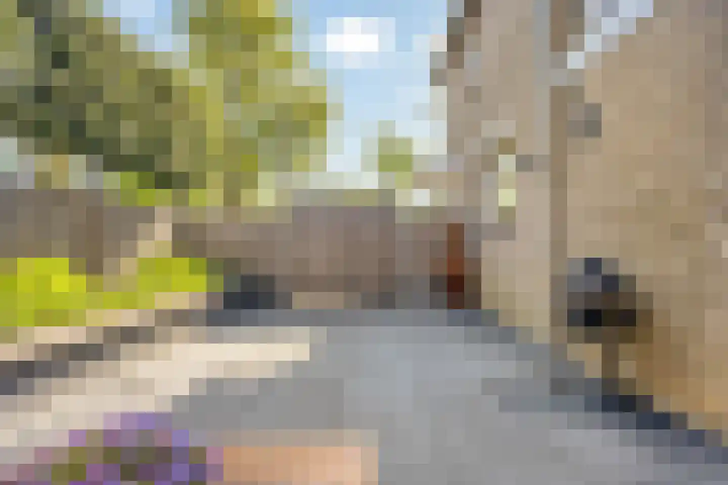 Dahliastraat 18 Steenbergen thumbnail 45