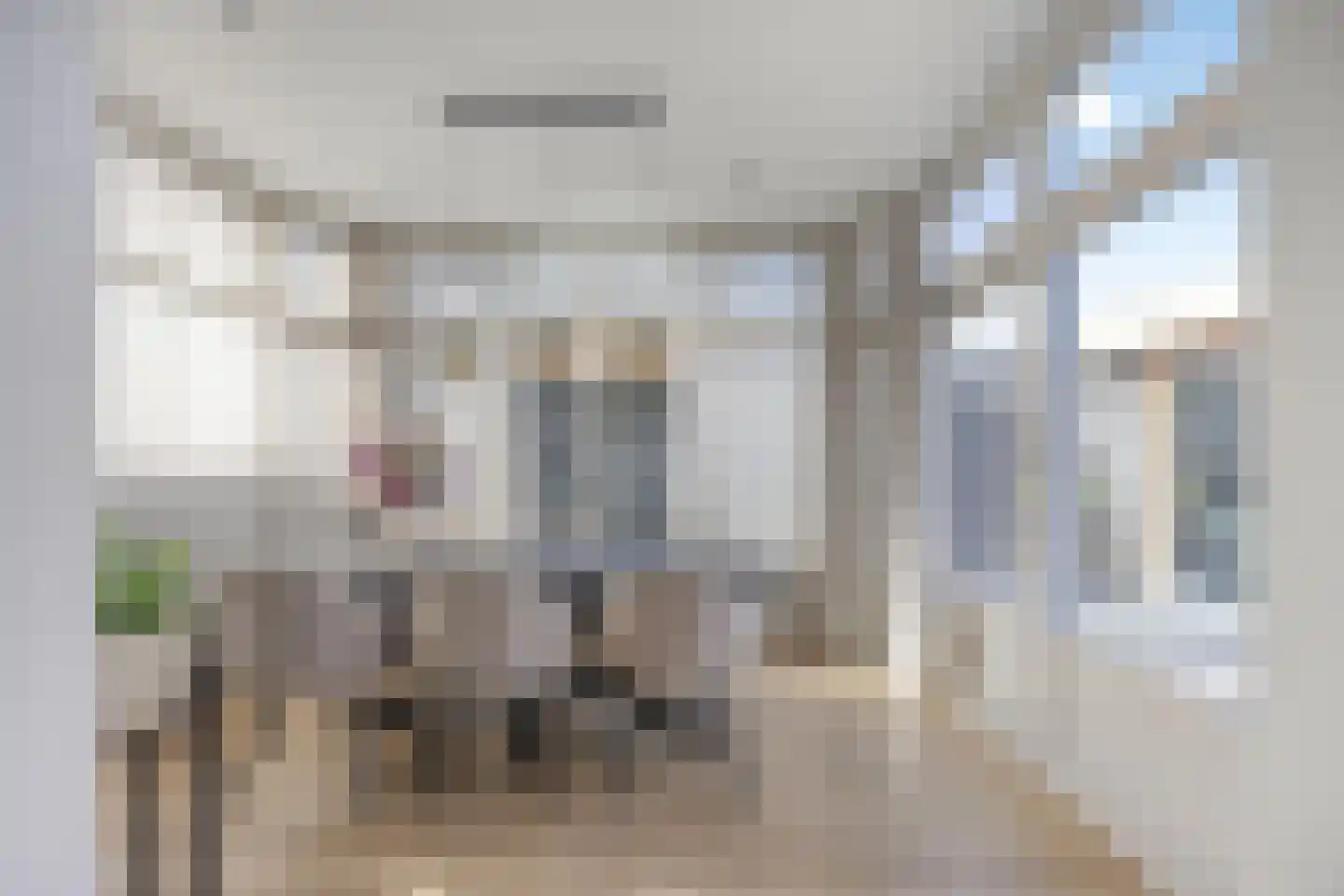 Dahliastraat 18 Steenbergen thumbnail 5
