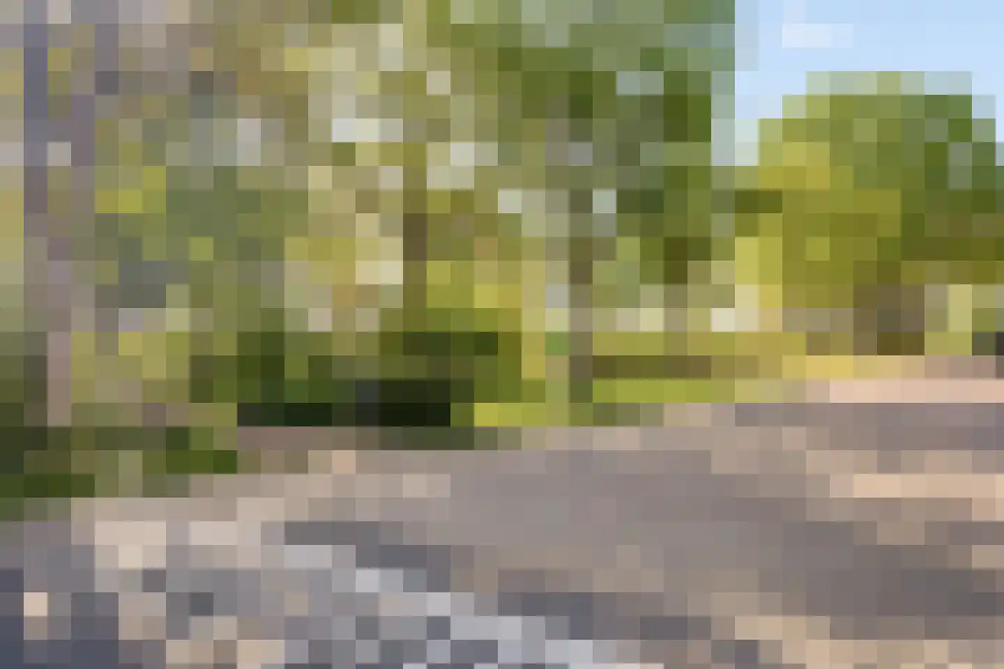 Dahliastraat 18 Steenbergen thumbnail 52
