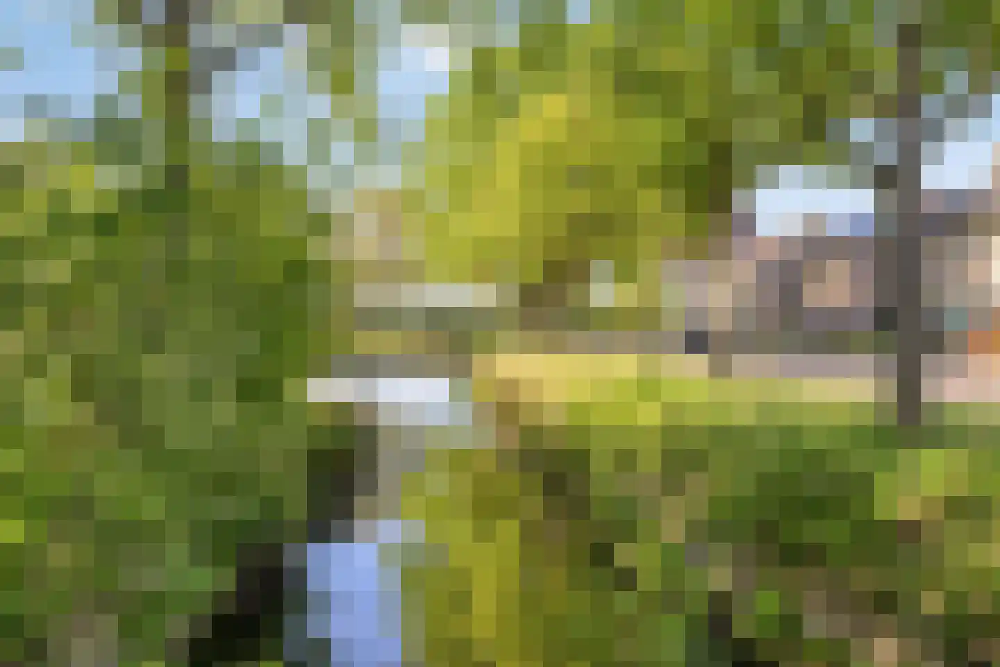 Dahliastraat 18 Steenbergen thumbnail 53