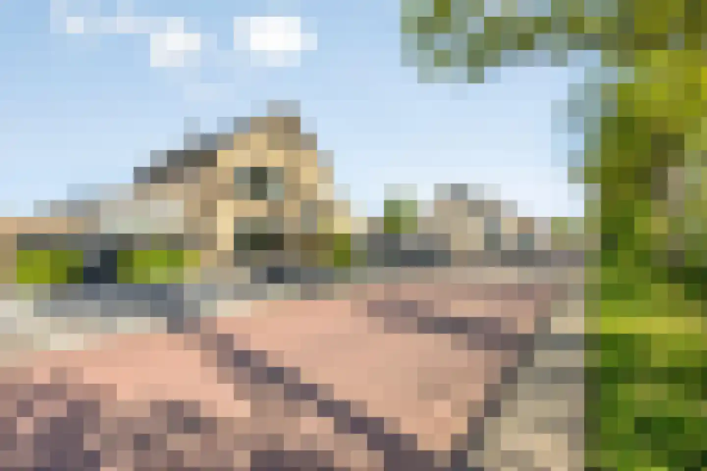 Dahliastraat 18 Steenbergen thumbnail 57