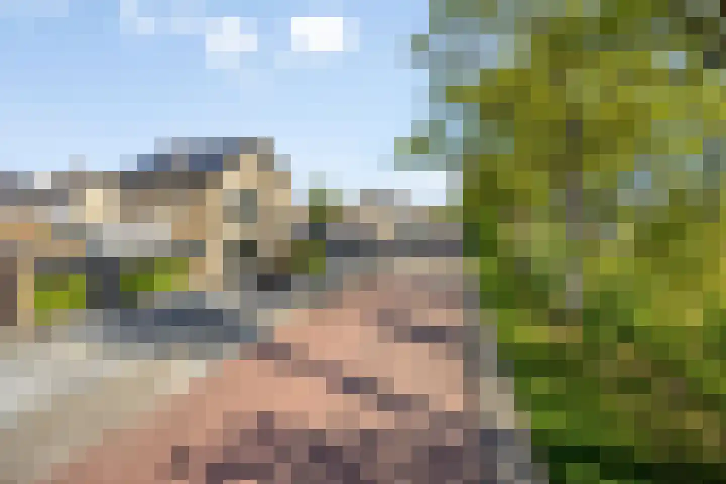Dahliastraat 18 Steenbergen thumbnail 7