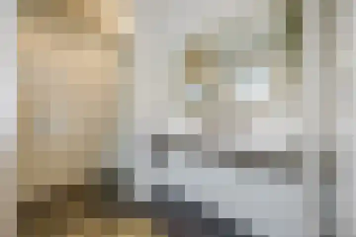 Dahliastraat 18 Terneuzen thumbnail 15