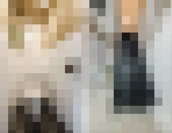 Dahliastraat 18 Terneuzen thumbnail 17