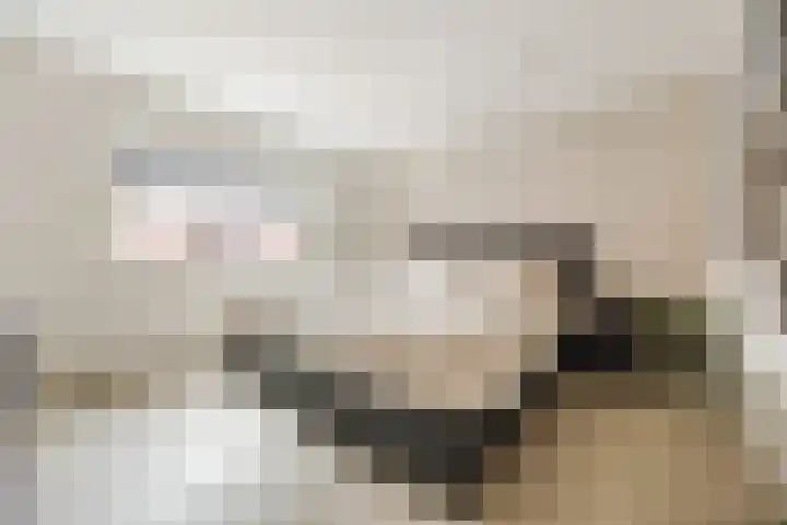 Dahliastraat 18 Terneuzen thumbnail 20