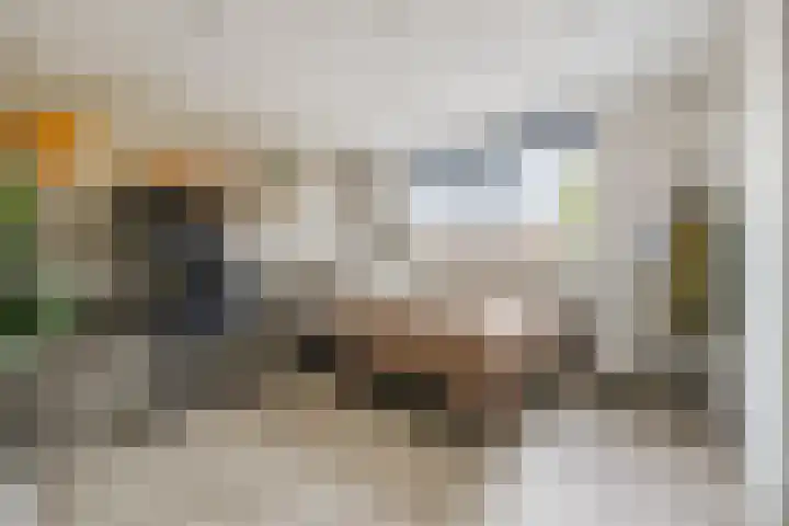 Dahliastraat 18 Terneuzen thumbnail 22
