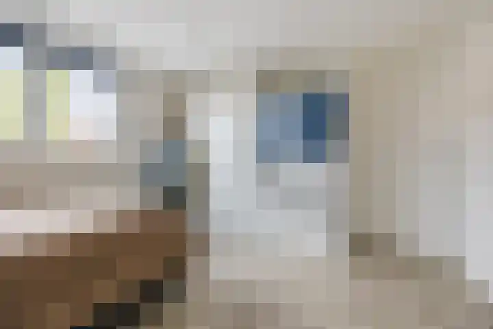 Dahliastraat 18 Terneuzen thumbnail 23