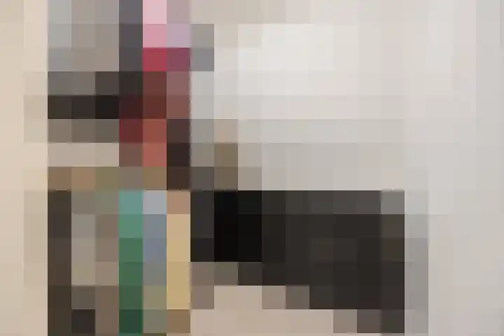 Dahliastraat 18 Terneuzen thumbnail 25