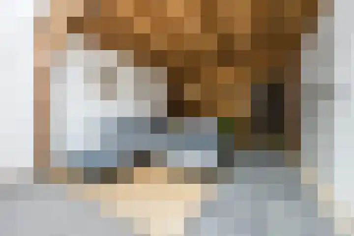 Dahliastraat 18 Terneuzen thumbnail 27