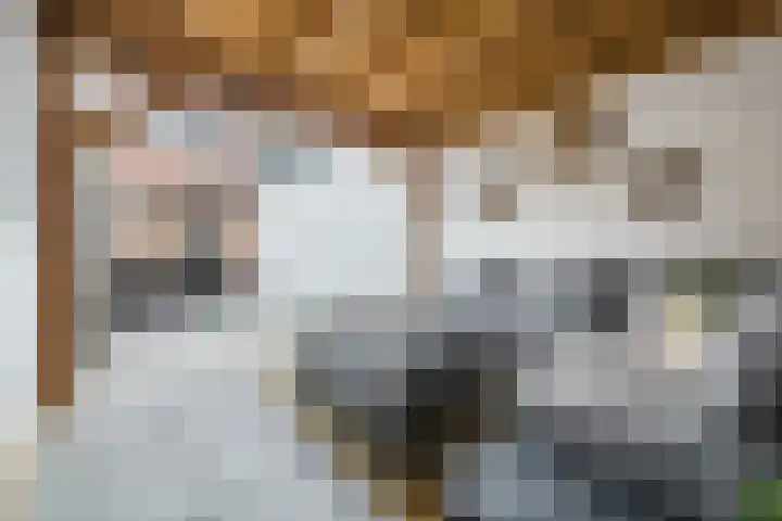 Dahliastraat 18 Terneuzen thumbnail 28