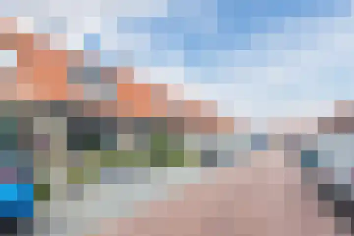 Dahliastraat 18 Terneuzen thumbnail 30