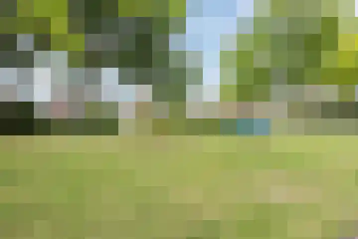 Dahliastraat 18 Terneuzen thumbnail 31