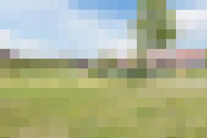 Dahliastraat 18 Terneuzen thumbnail 32