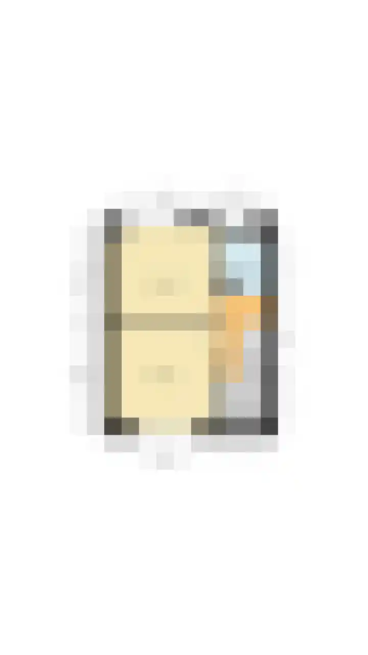 Dahliastraat 18 Terneuzen thumbnail 34