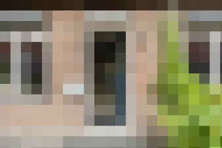 Dahliastraat 18 Terneuzen thumbnail 4