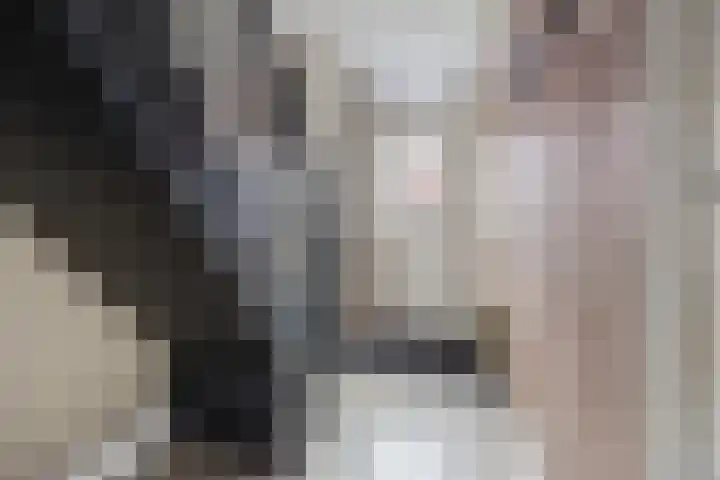 Dahliastraat 18 Terneuzen thumbnail 5