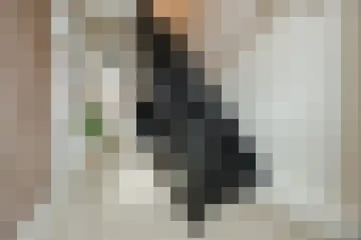 Dahliastraat 18 Terneuzen thumbnail 6