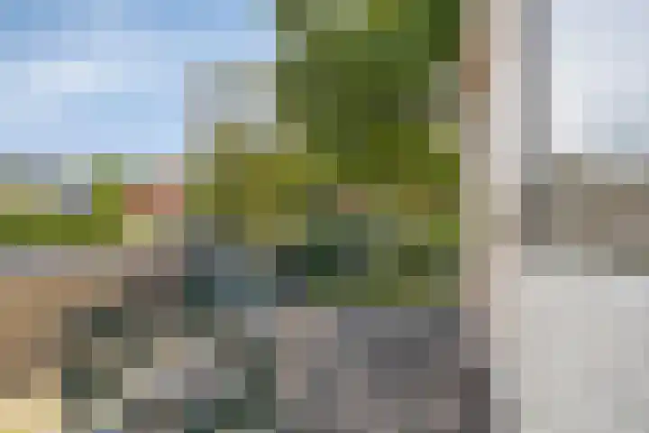 Dahliastraat 18 Wolvega thumbnail 13