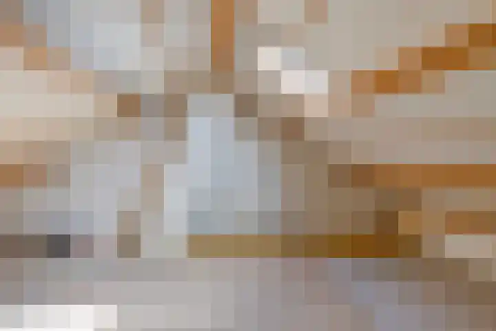 Dahliastraat 18 Wolvega thumbnail 18