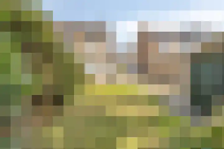 Dahliastraat 18 Wolvega thumbnail 20