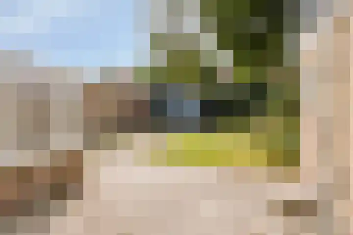 Dahliastraat 18 Wolvega thumbnail 21