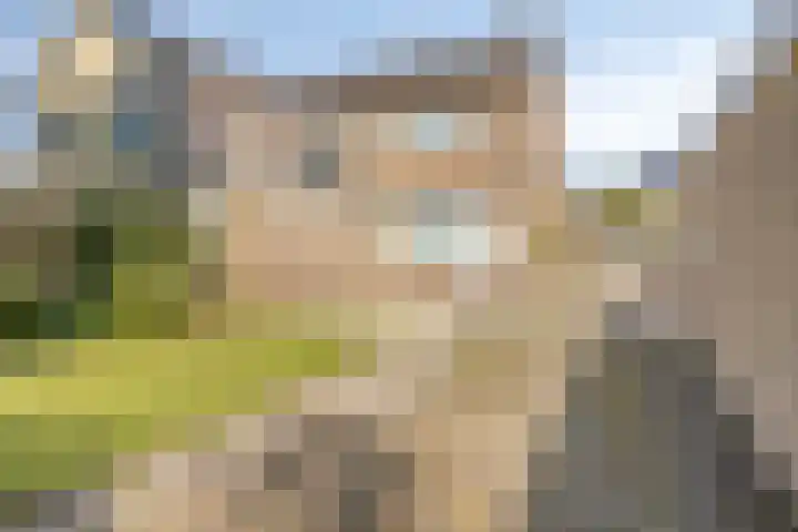 Dahliastraat 18 Wolvega thumbnail 22